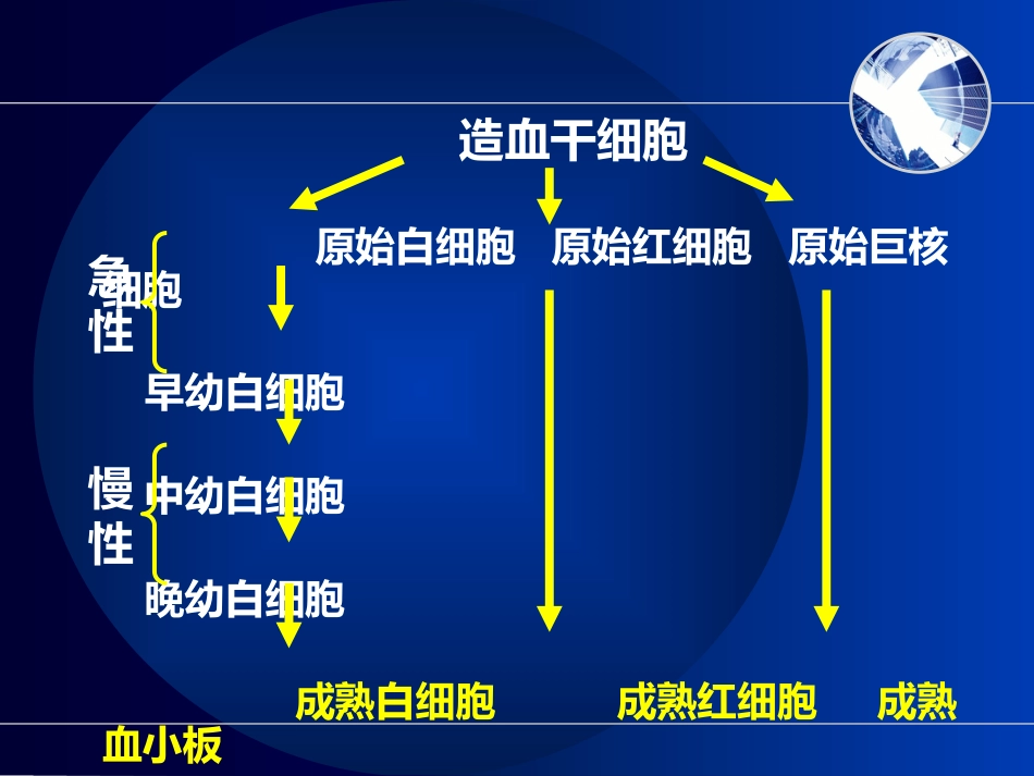 白血病(7)_第4页