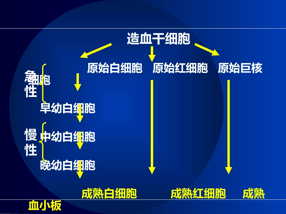 白血病(10)_第11页