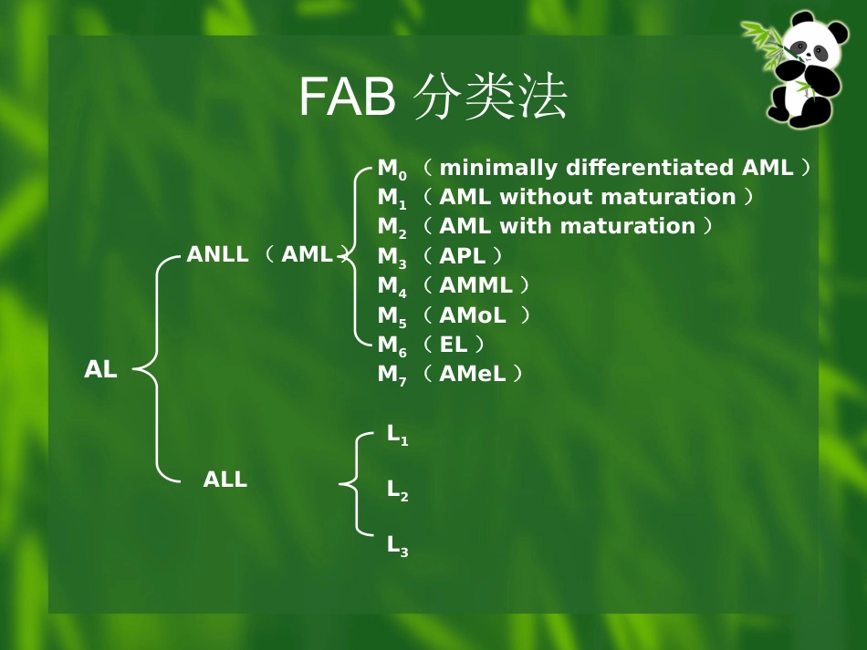 白血病(11)_第10页