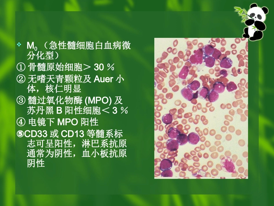 白血病(11)_第11页