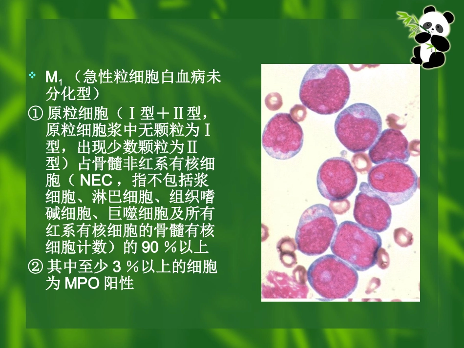 白血病(11)_第12页