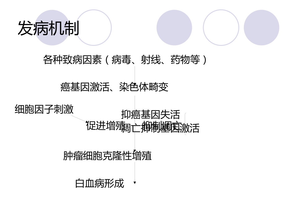 白血病(12)_第13页