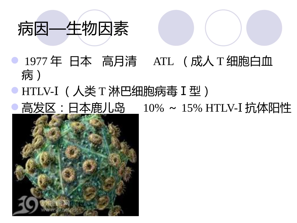白血病(12)_第8页