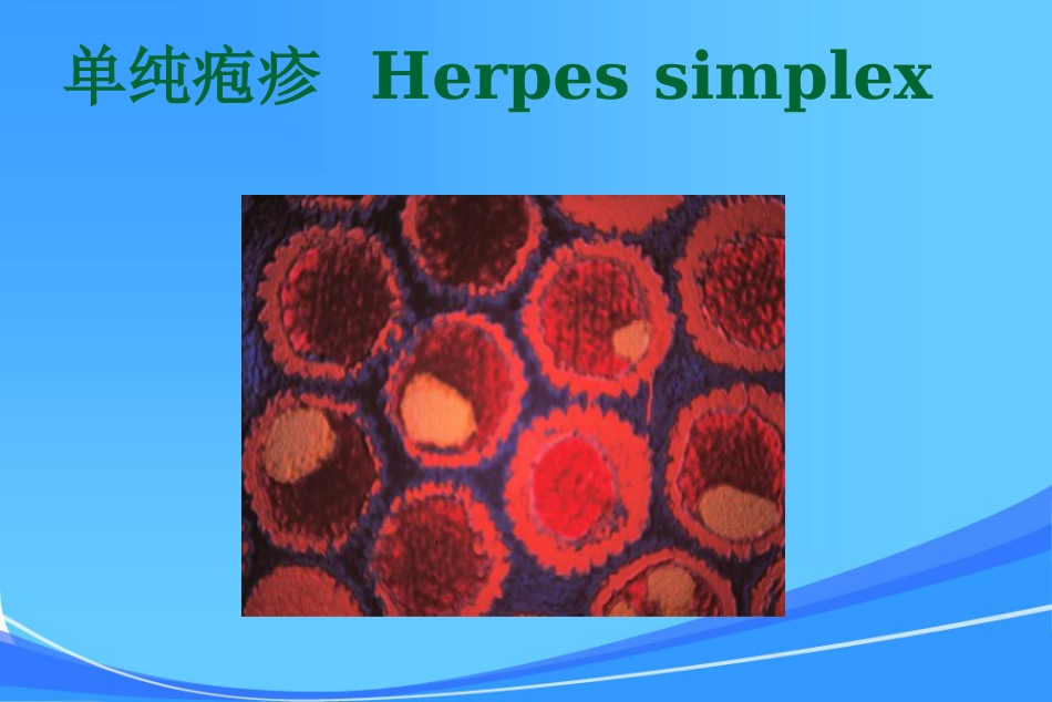 HIV皮肤与口腔表现_第13页