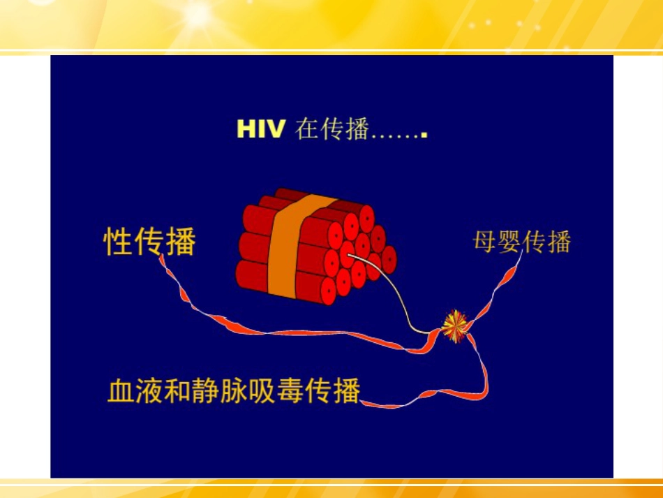 HIV检测及临床意义_第14页