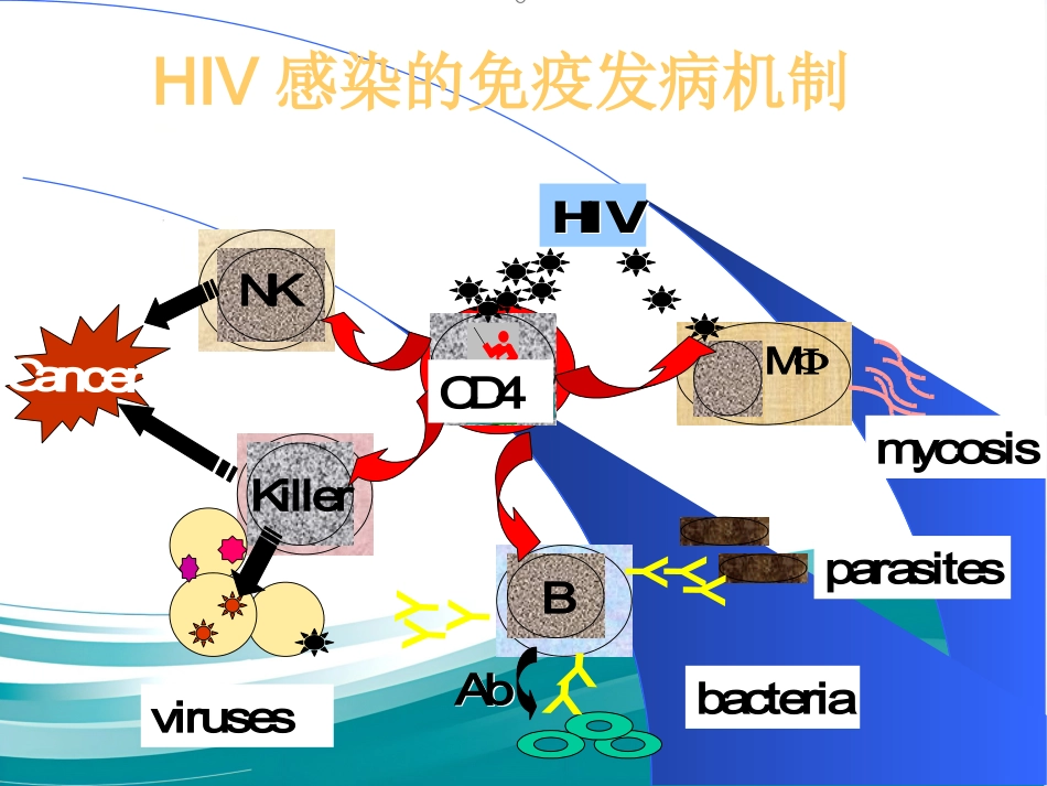 HIV感染和艾滋病_第10页