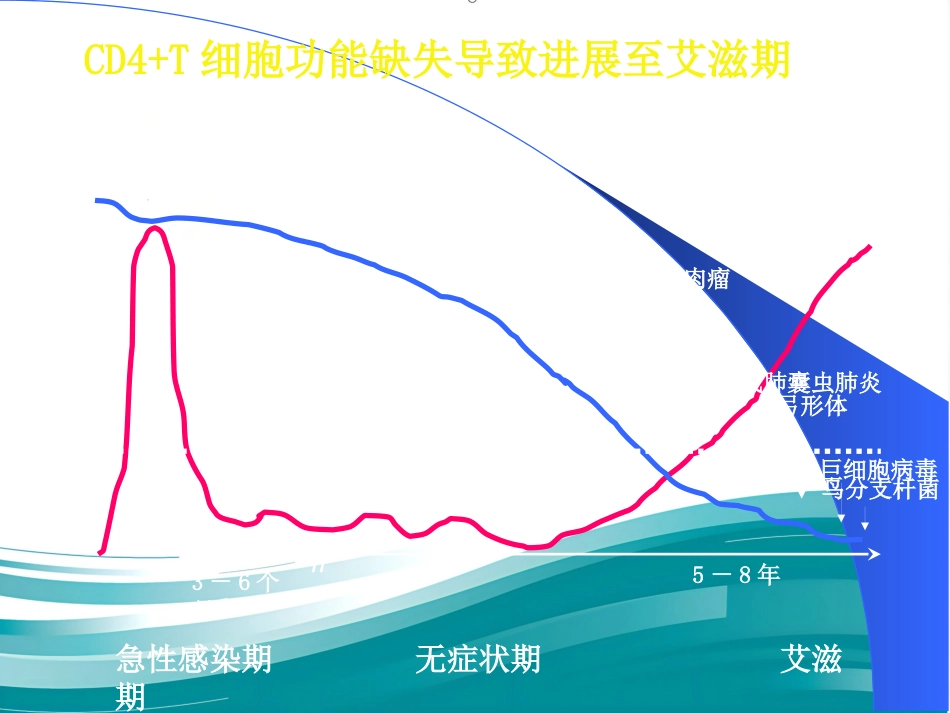 HIV感染和艾滋病_第11页