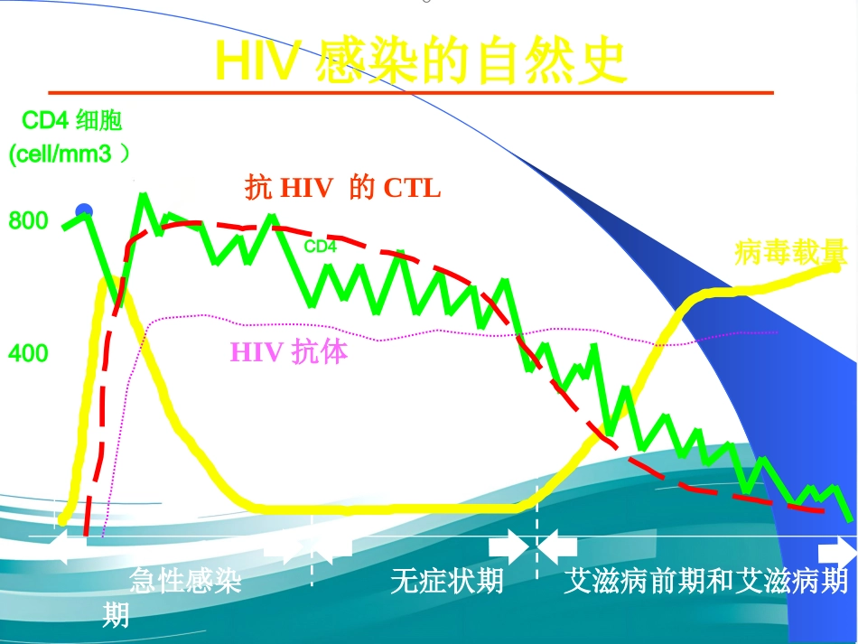 HIV感染和艾滋病_第12页