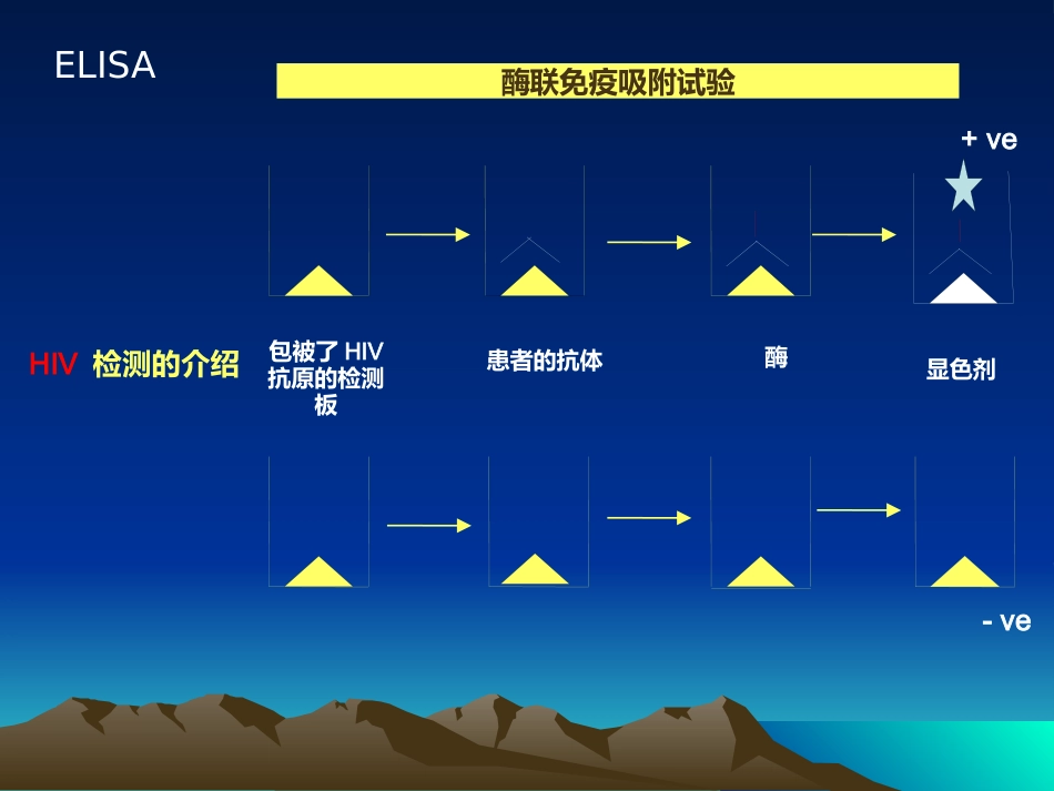 HIV感染的实验室检测解读_第13页