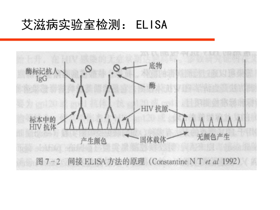 HIV病毒与艾滋病实验室检测_第14页