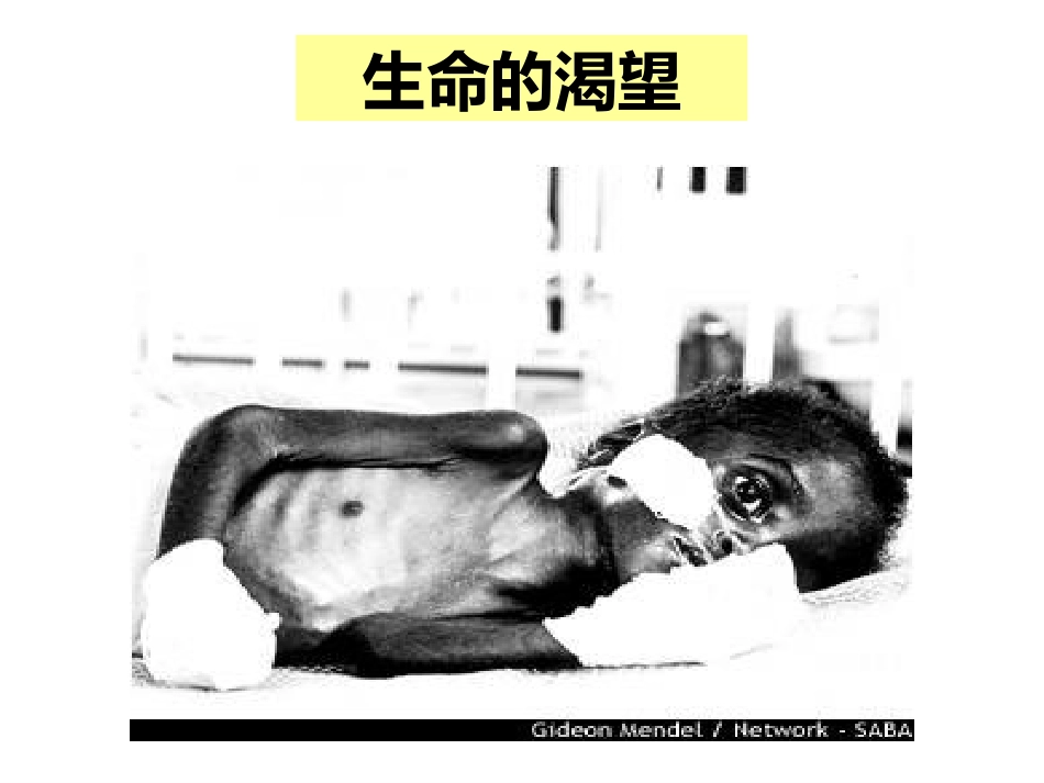 HIV病毒与艾滋病实验室检测_第2页