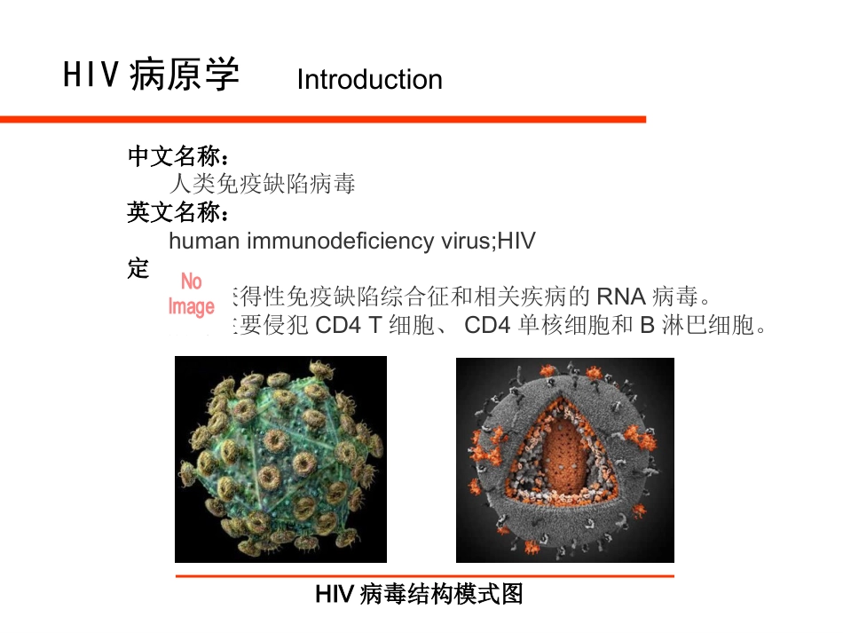 HIV病毒与艾滋病实验室检测_第3页