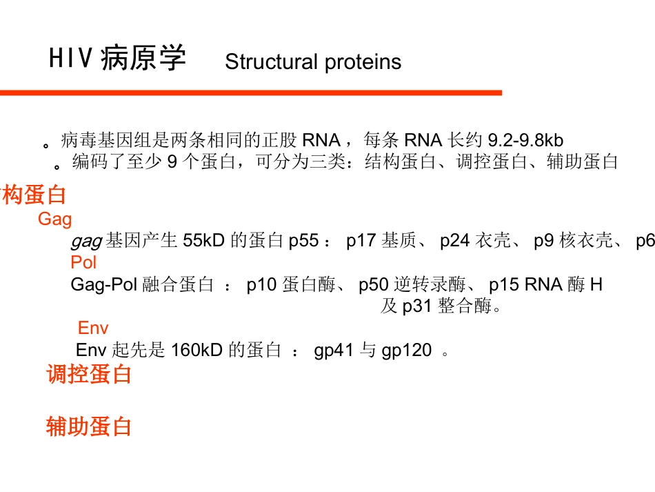 HIV病毒与艾滋病实验室检测_第4页