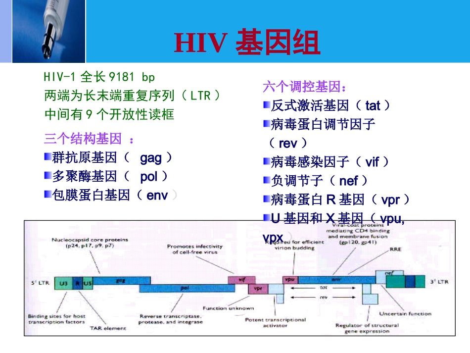 HIV【89页】_第10页