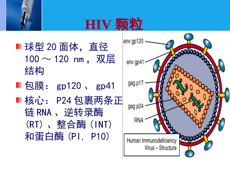 HIV【89页】_第8页
