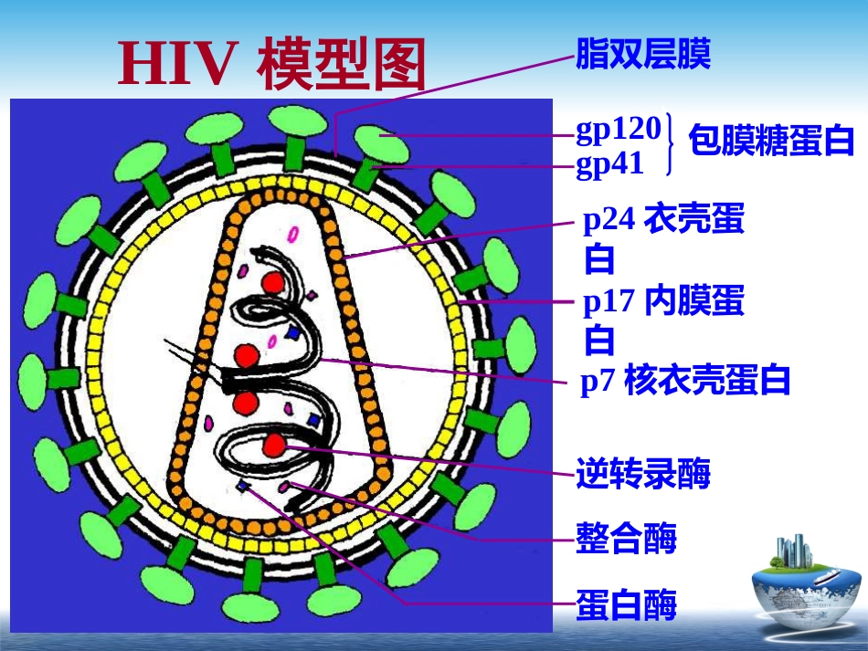 HIV【67页】_第10页