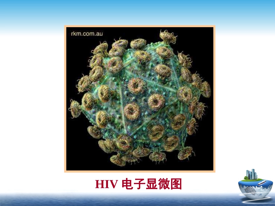 HIV【67页】_第11页