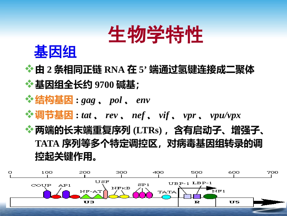 HIV【67页】_第12页
