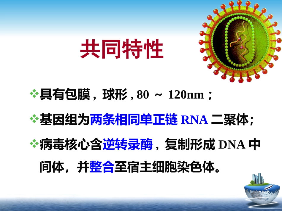HIV【67页】_第4页