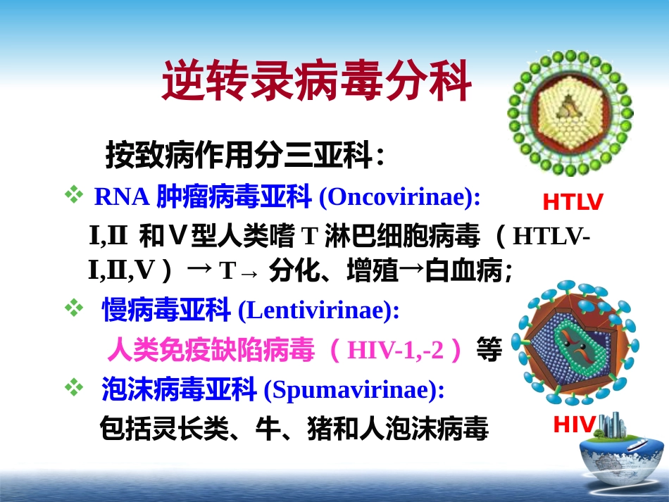 HIV【67页】_第5页