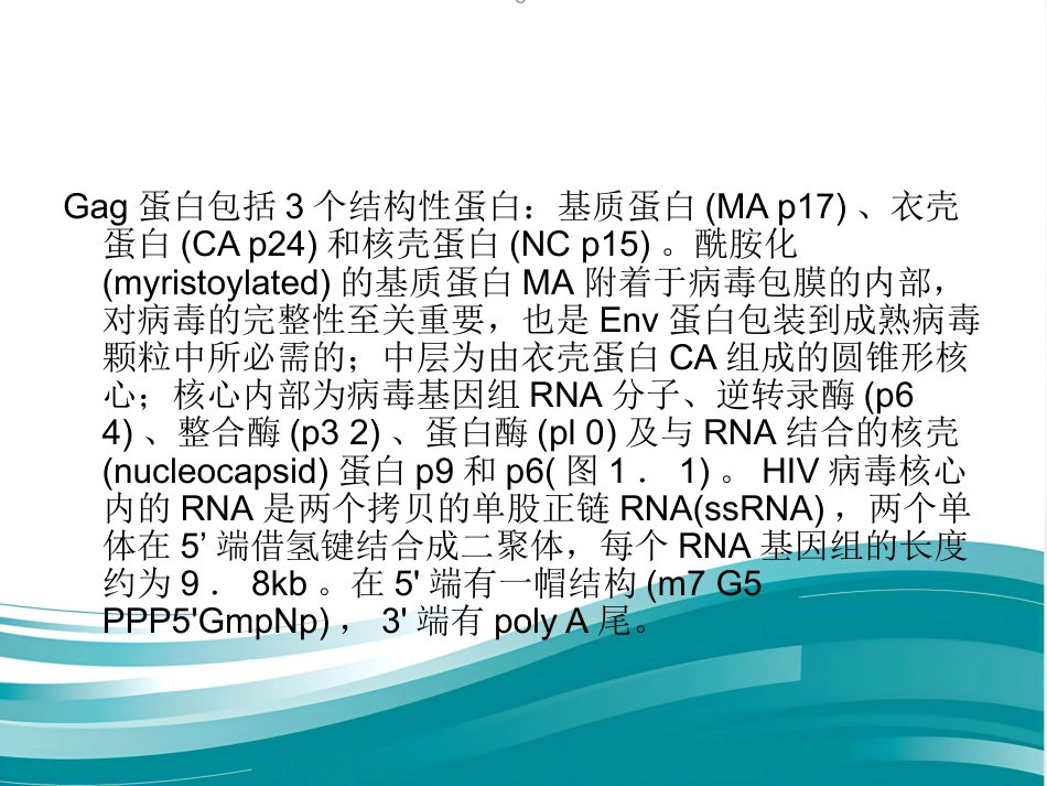 HIV【10页】_第2页