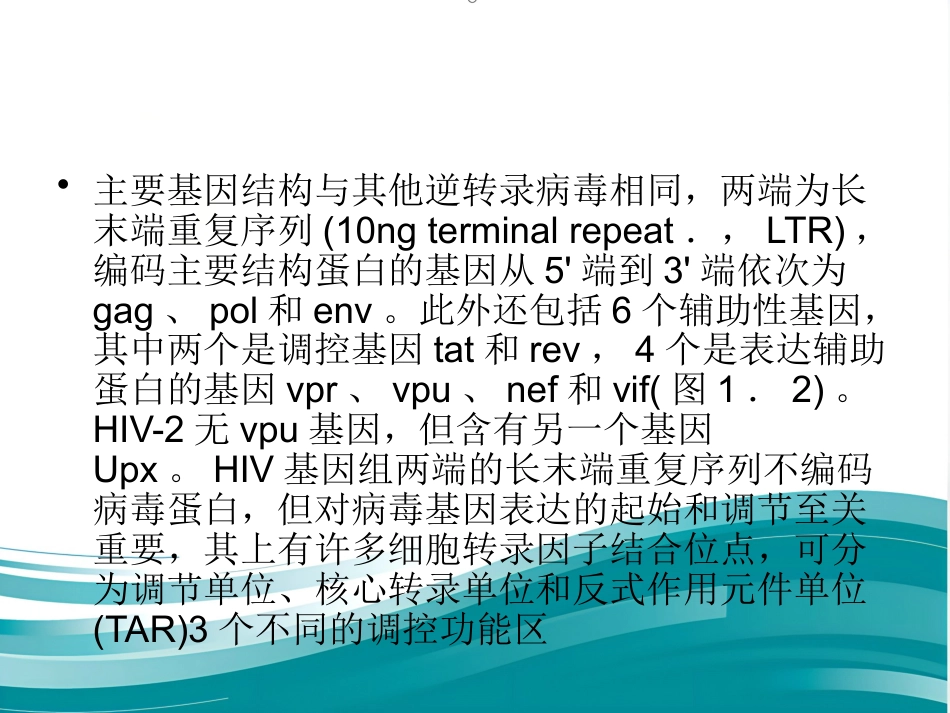 HIV【10页】_第4页