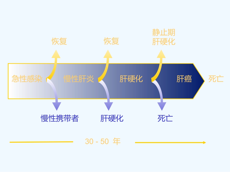 HBV相关性肝癌抗病毒治疗_第3页