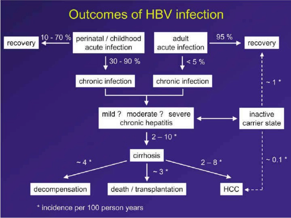 HBV相关性肝癌的抗病毒治疗_第4页