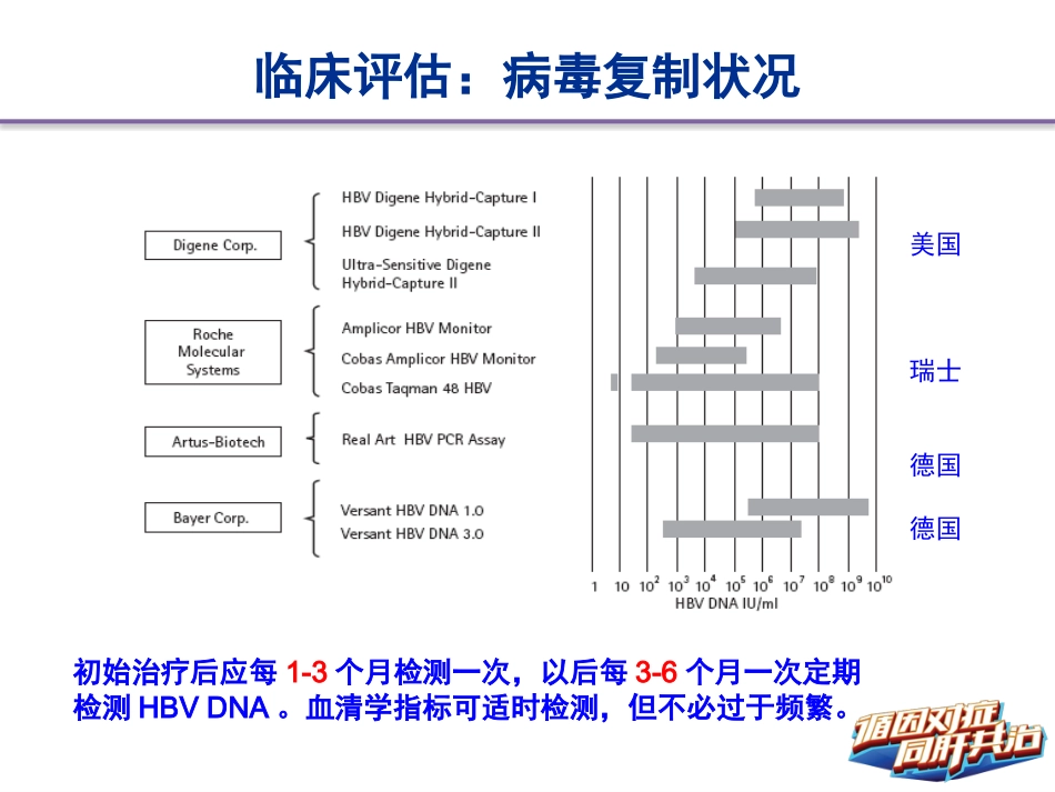 HBV相关肝硬化的临床诊断、评估和抗病毒治疗的综合管理(解读)-上_第15页
