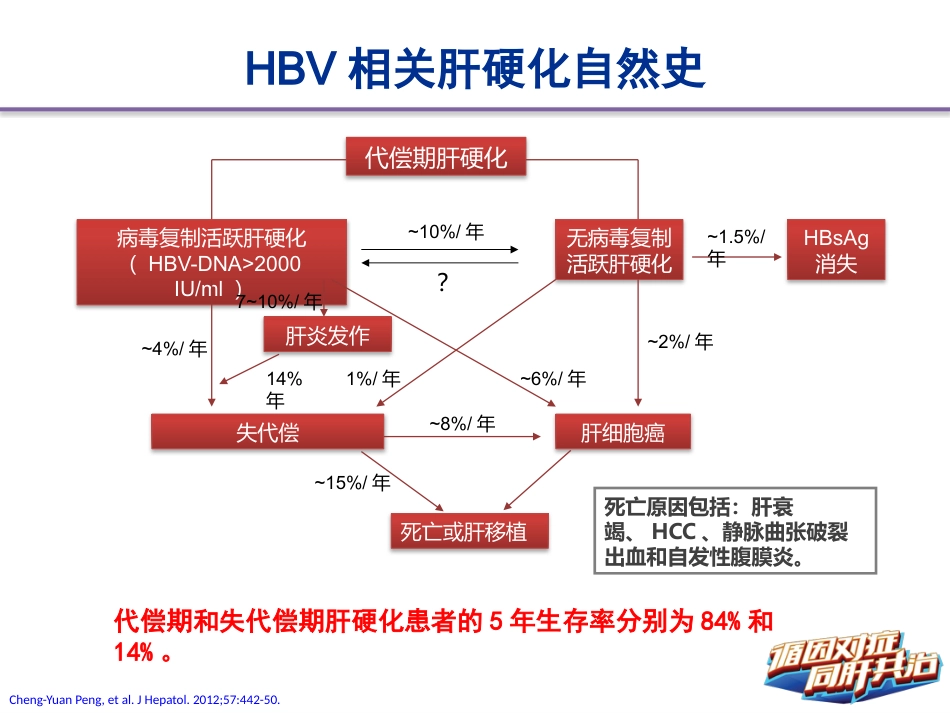 HBV相关肝硬化的临床诊断、评估和抗病毒治疗的综合管理(解读)-上_第8页