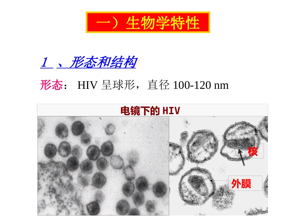 gp120病毒多态性HIV从感染患者到出现临床症状_第10页