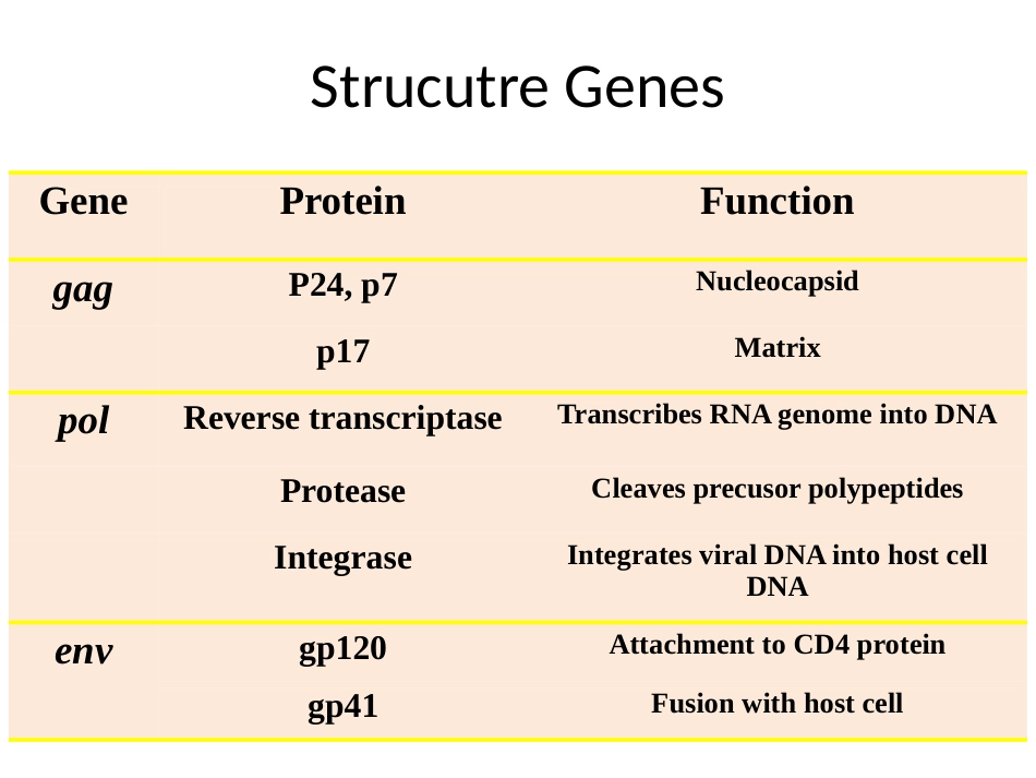gp120病毒多态性HIV从感染患者到出现临床症状_第14页