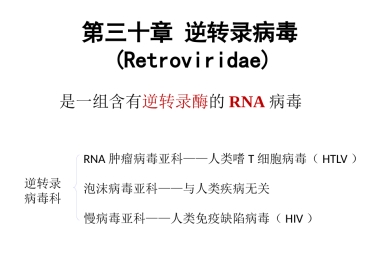 gp120病毒多态性HIV从感染患者到出现临床症状
