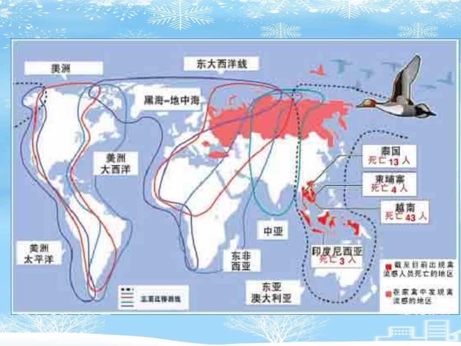 2021推荐禽流感病毒_第3页