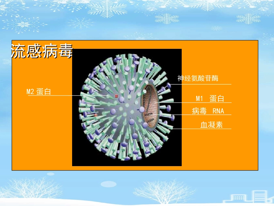 2021推荐禽流感病毒_第6页