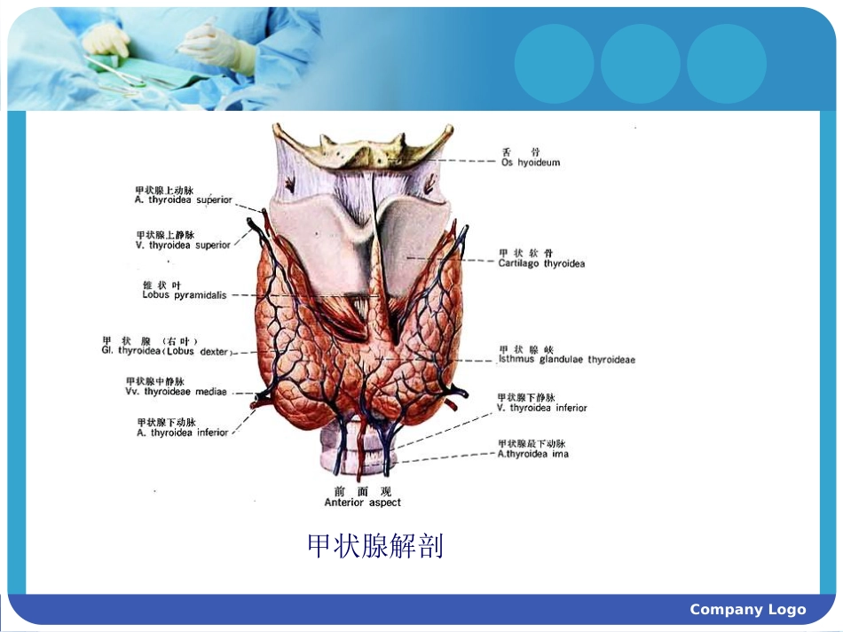 甲状腺癌的护理查房_第7页