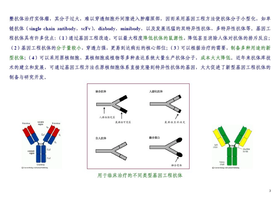 《抗体靶向治疗药物》_第6页