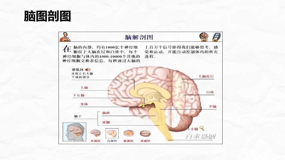小脑肿瘤术后护理查房_第4页