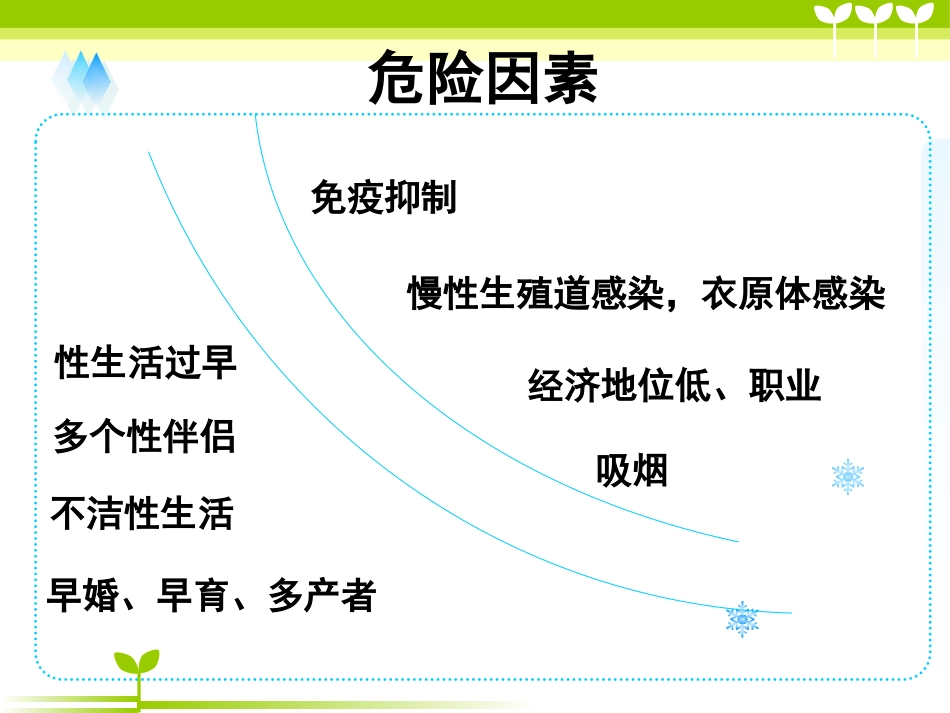 宫颈癌健康教育_第13页