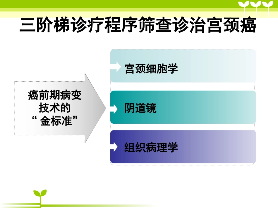 宫颈癌健康教育_第15页