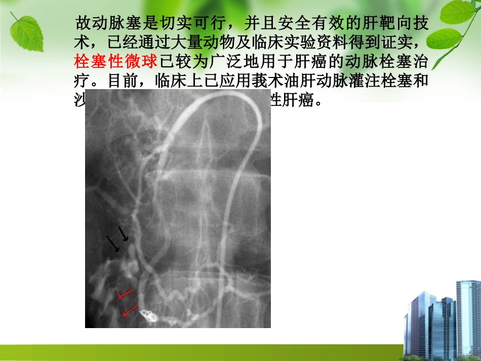 肝靶向制剂_第10页