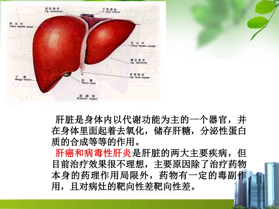 肝靶向制剂_第3页