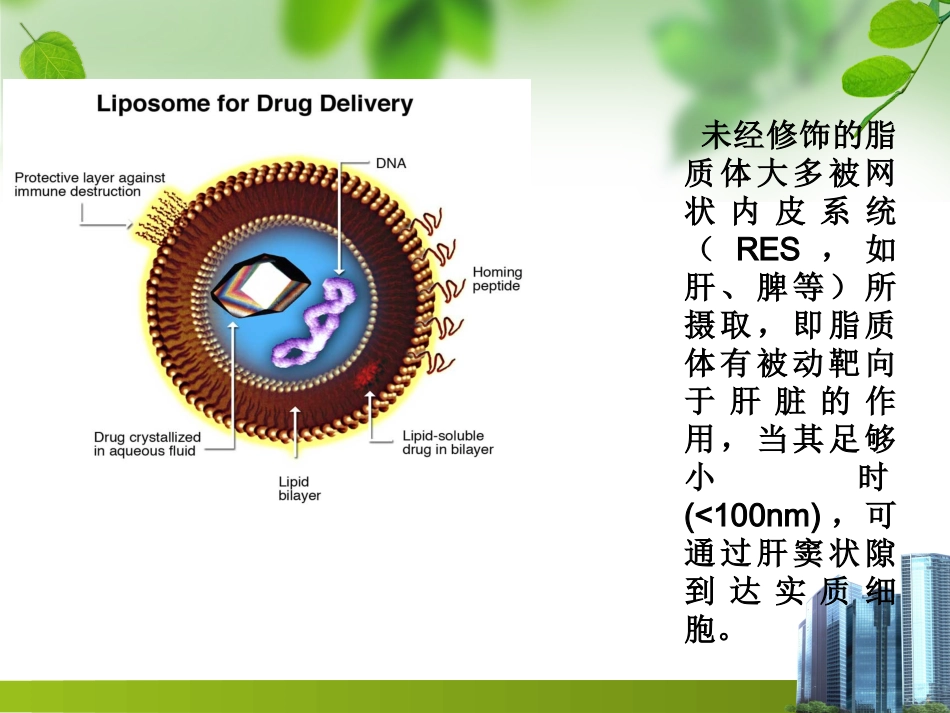 肝靶向制剂_第6页