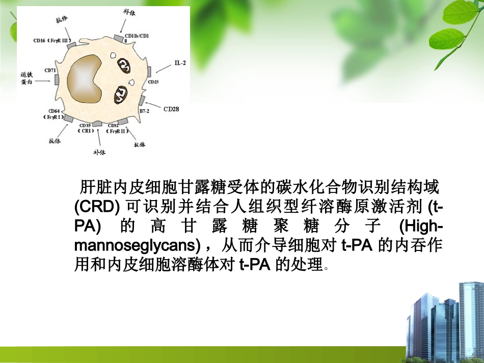肝靶向制剂_第8页