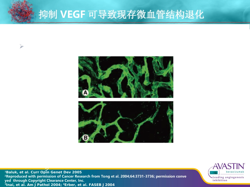贝伐珠单抗--从基础到临床_第11页