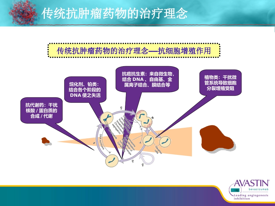 贝伐珠单抗--从基础到临床_第2页