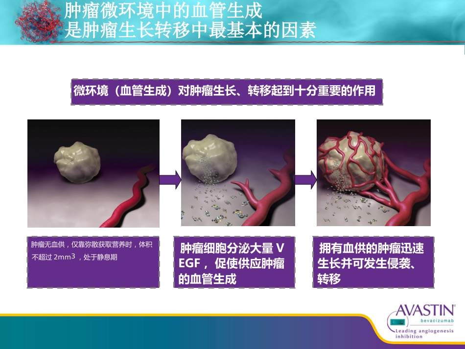 贝伐珠单抗--从基础到临床_第4页