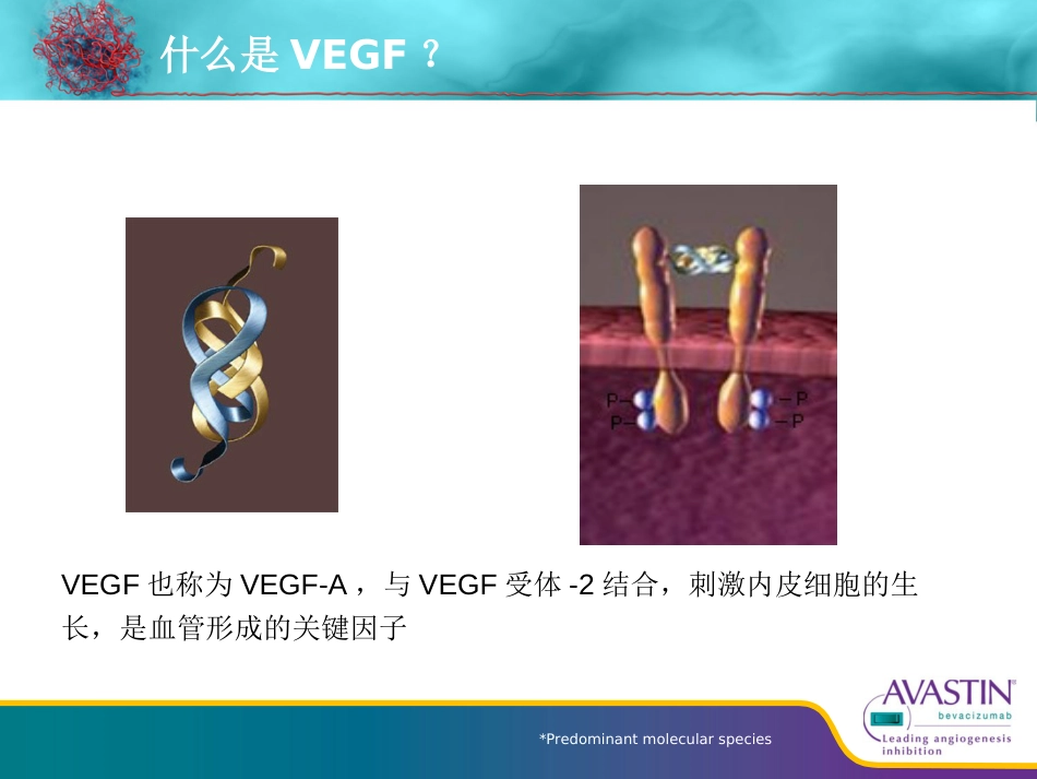 贝伐珠单抗--从基础到临床_第5页