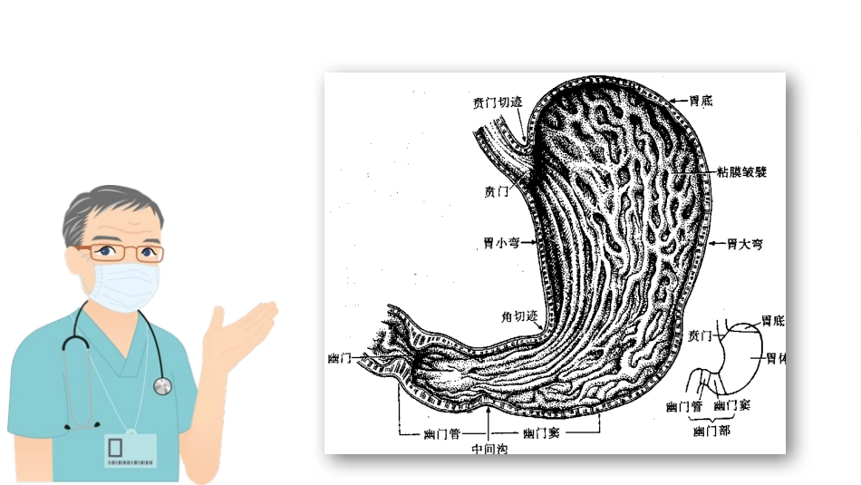 胃癌的护理查房_第5页