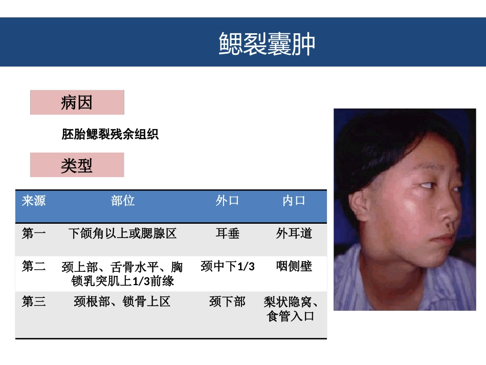口腔颌面部囊肿及良性肿瘤_第12页